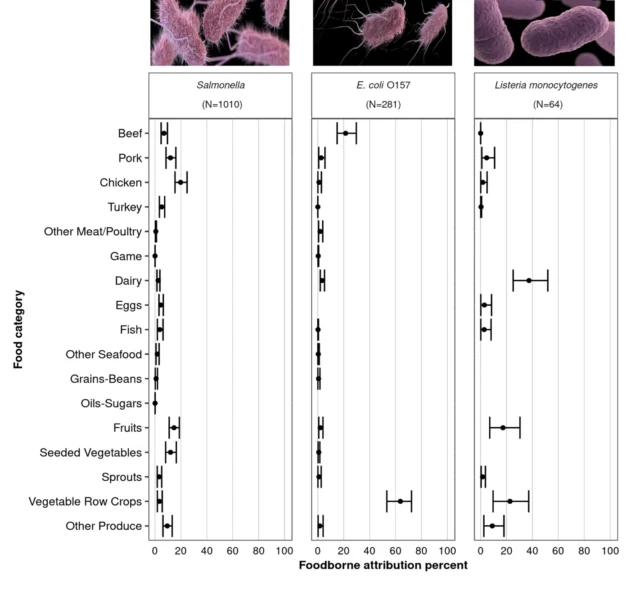 CDC, FDA, FSIS weigh in on what foods sicken us with Salmonella, E. coli and Listeria